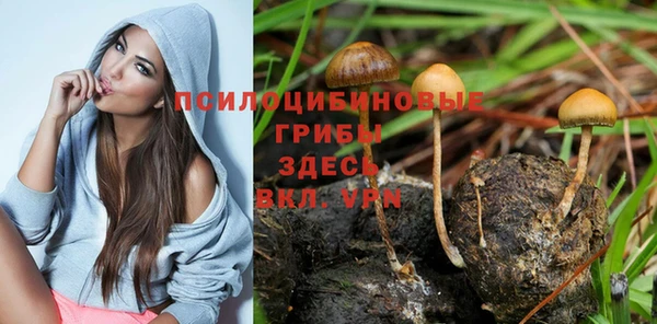экстази Дмитровск