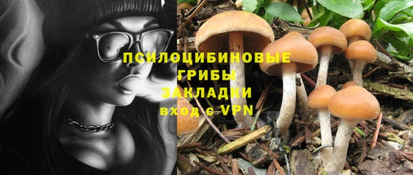 прущие крисы Гусев