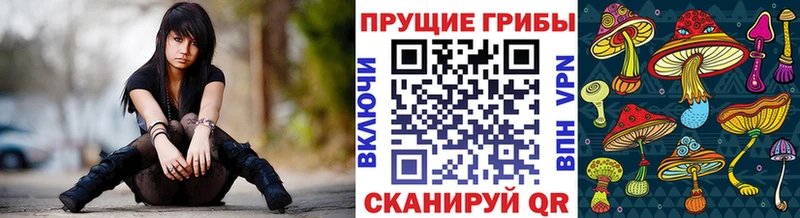 Псилоцибиновые грибы ЛСД  дарнет шоп  KRAKEN маркетплейс  Калачинск 